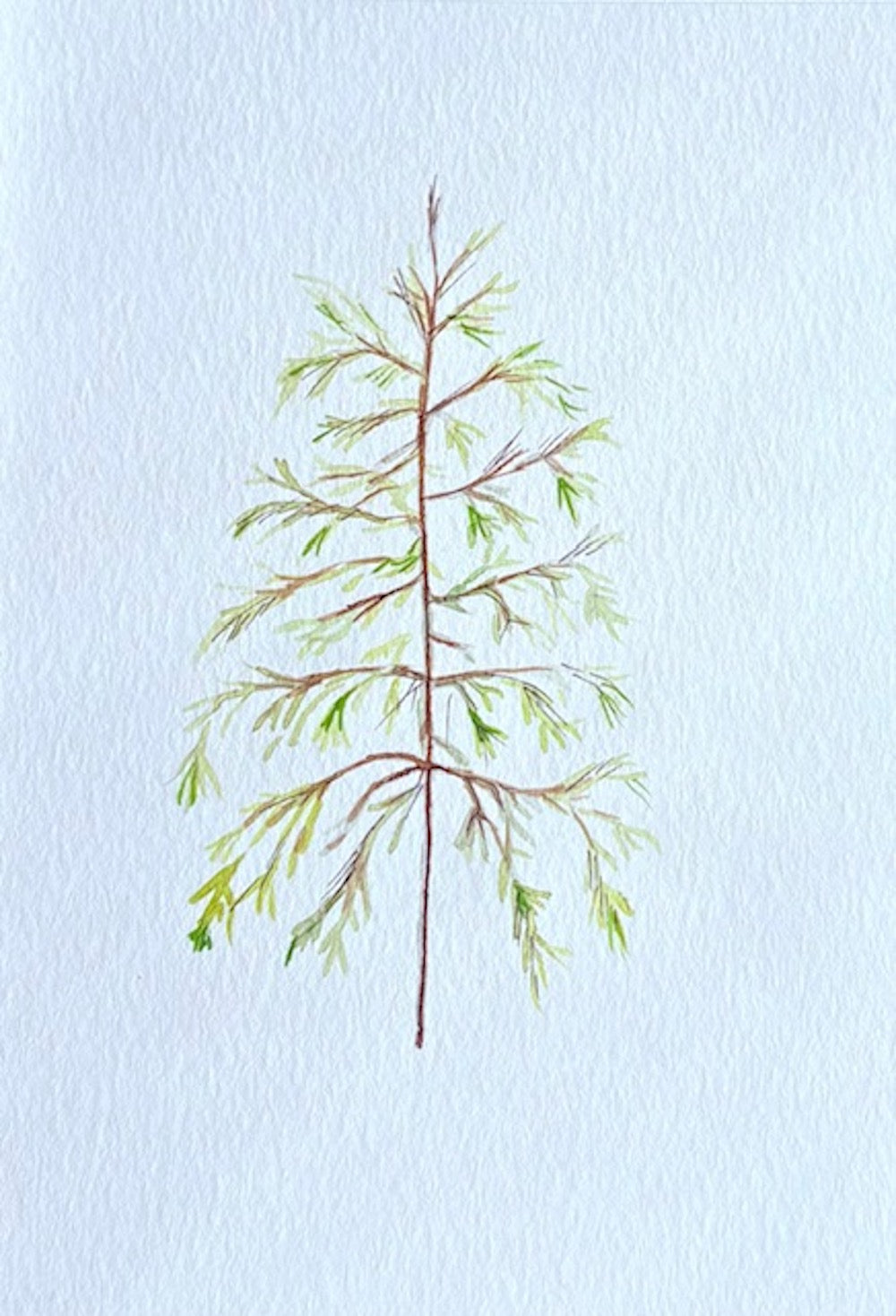 Watercolor tree greeting card by Blanero - handcrafted in Quebec, Canada