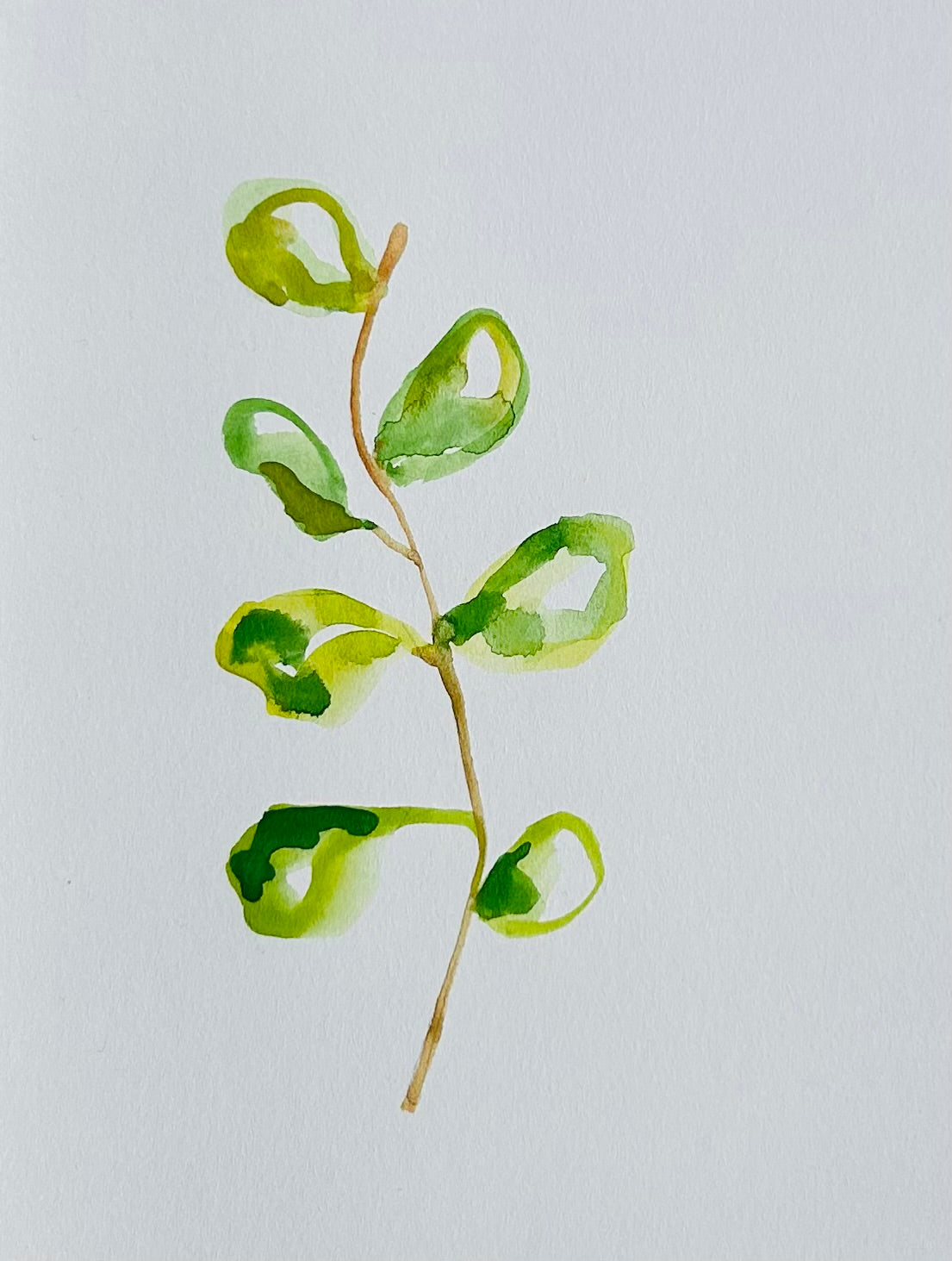 Watercolor tree greeting card by Blanero - handcrafted in Quebec, Canada