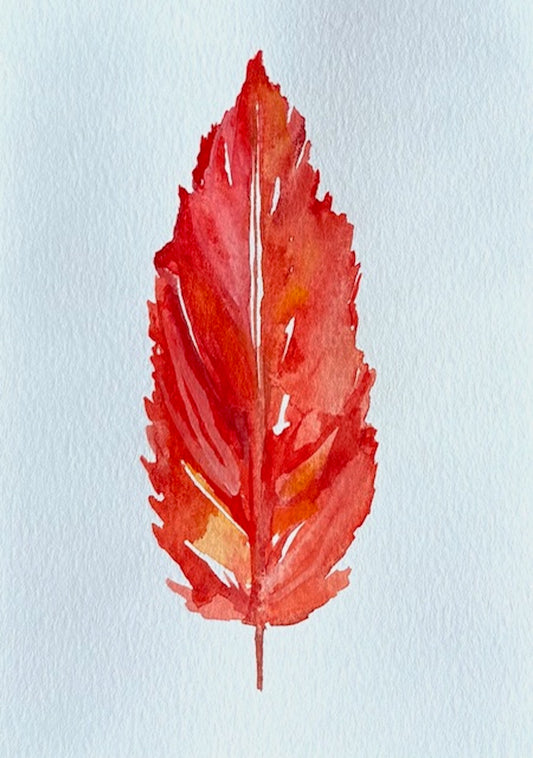 Watercolor feather greeting card by Blanero - handcrafted in Quebec, Canada