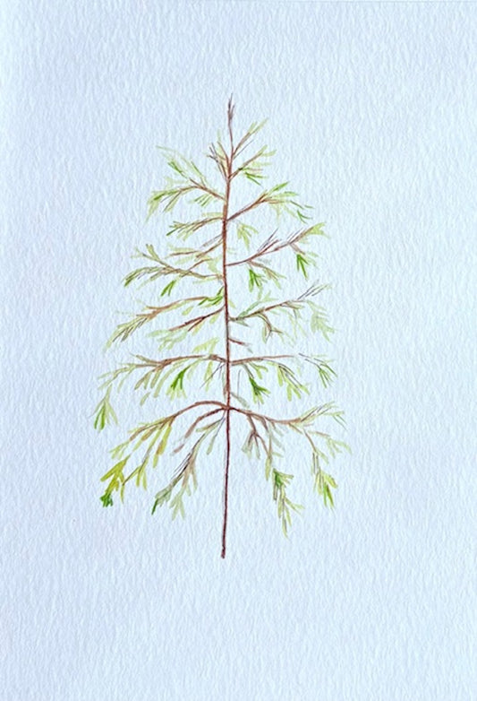 Watercolor tree greeting card by Blanero - handcrafted in Quebec, Canada